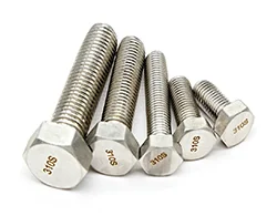 Stainless Steel 310_310S Hex Bolt